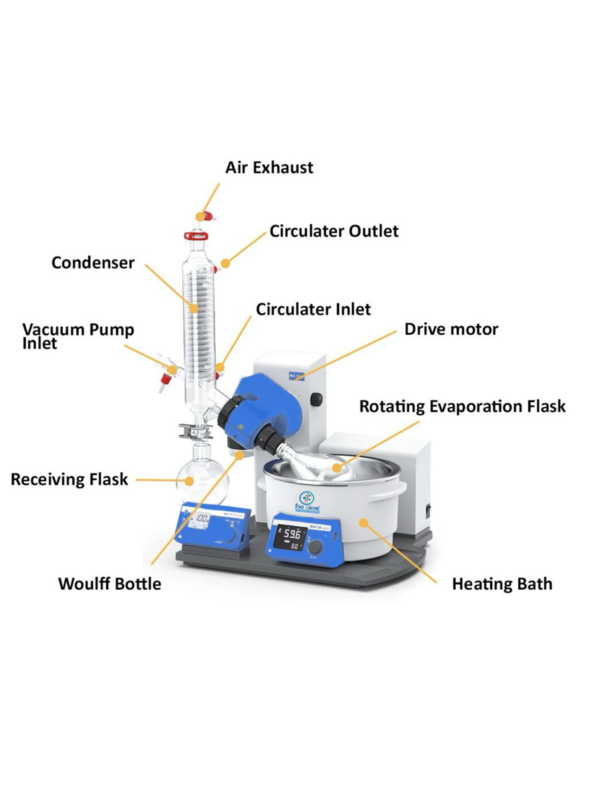 Rotary Evaporator